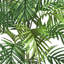 Plante de palmier Silk Areca