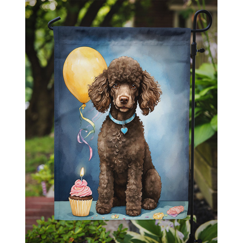 Drapeau de jardin «Happy Birthday», Caniche chocolat standard