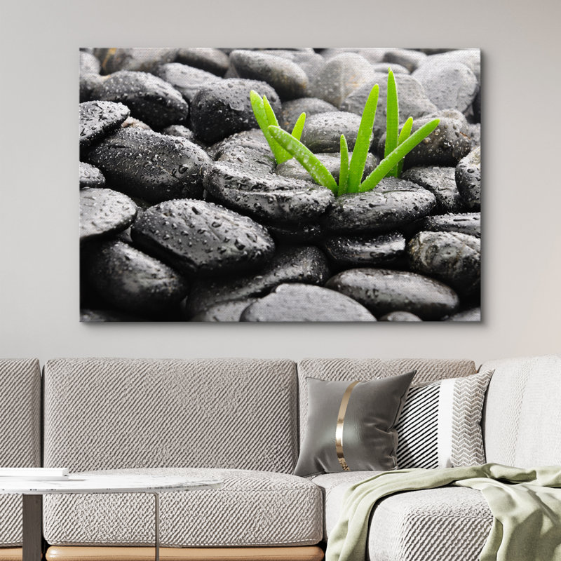 «Zen Stones Rain Drops over Black Rocks and Little Green Plants», reproduction de photo sur toile tendue