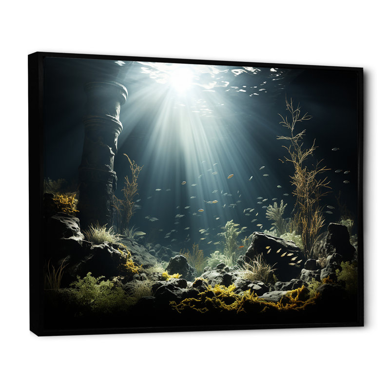 «Deep Light On» Coral Hidden Treasures IV - Décoration murale plage et océan, H 12 po x l 20 po x P 1 po, Cadre flottant noir