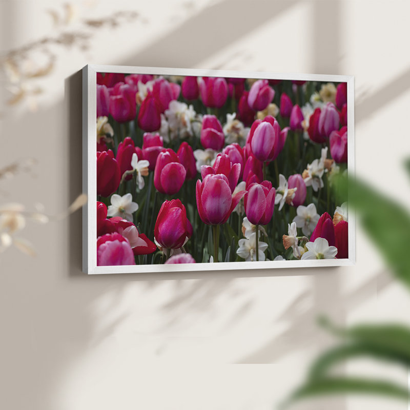Looks like Spring -Framed Print - Restickable