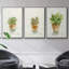 Succulent I, encadré sur toile, 3 pièces-163068310-163068311
