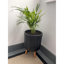 Ribbed Cylinder Planter with Feet-1753896809-1753896808