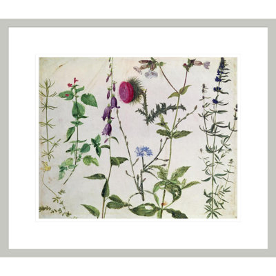 «Huit études de fleurs sauvages» par Albrecht Dürer, impression giclée sur cadre