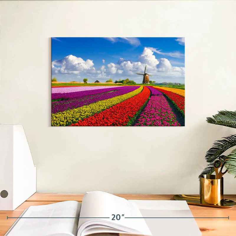 Alvord Multicolored Tulip Rows