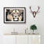 Lion - Picture Frame Graphic Art Print-56859969-56859972