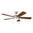 Starkk 52'' Ceiling Fan with LED Lights-1081777954