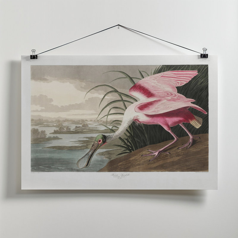 Wrapped Canvas Print, 50.8 cm H x 76.2 cm W