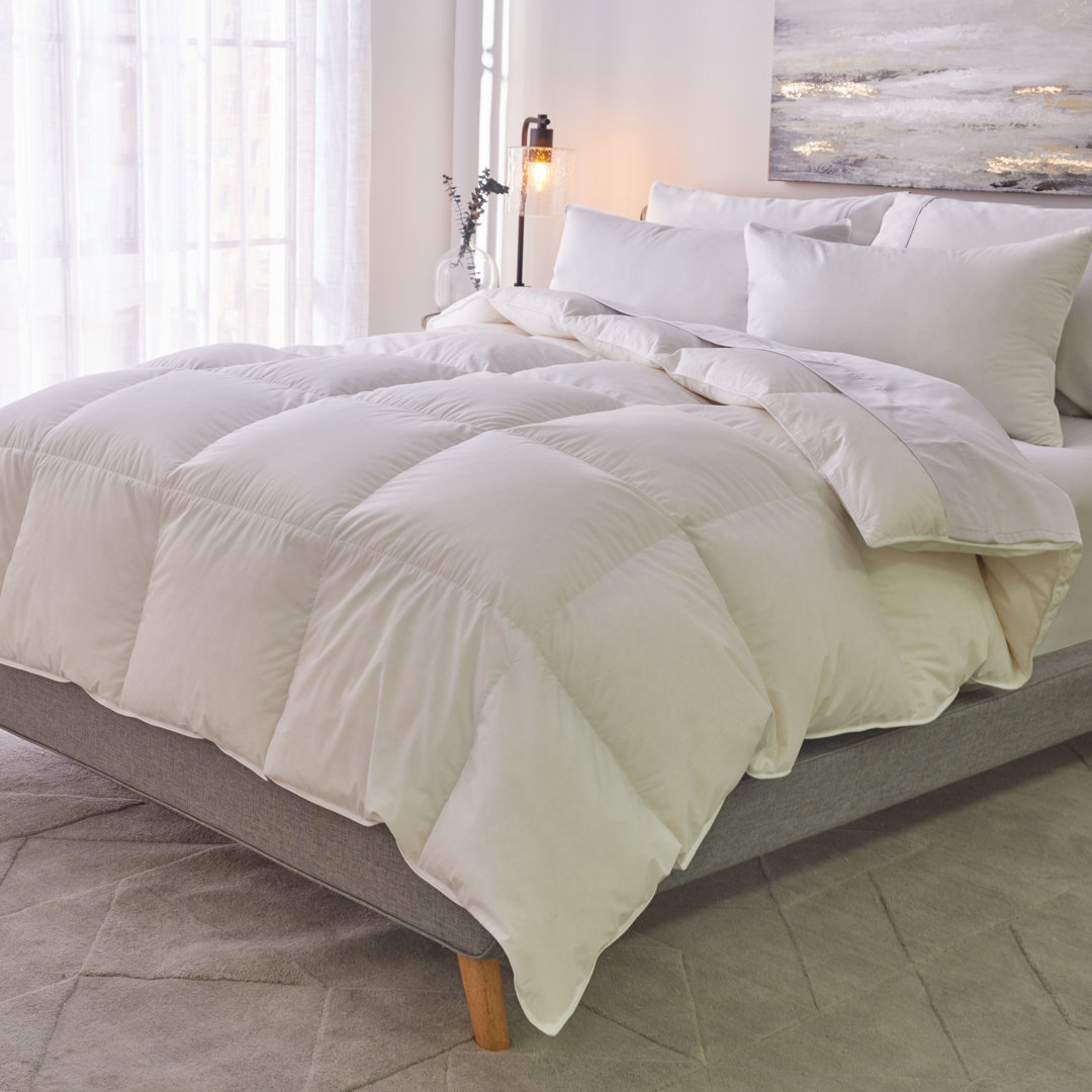 All Season Down Alternative Comforter White Noise 