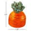 Bougie Rumy Carrot S / 2