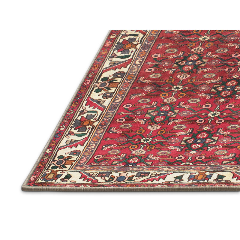 Oriental Indoor Rug, Rectangle 5' x 8'