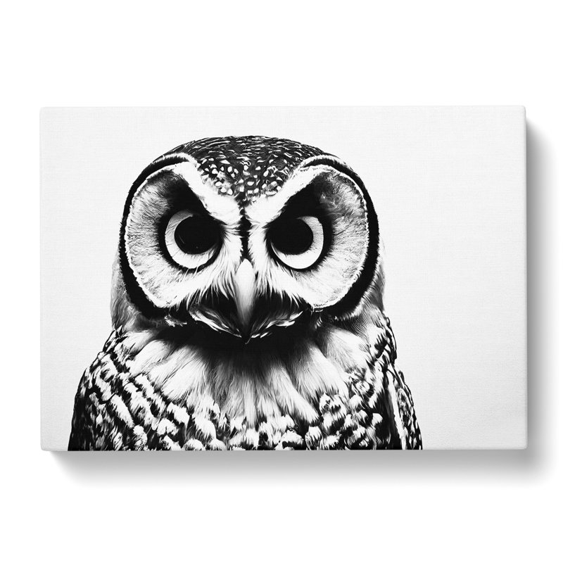 Barn Owl Monochrome - Wrapped Canvas, 40cm H x 60cm W x 3cm D
