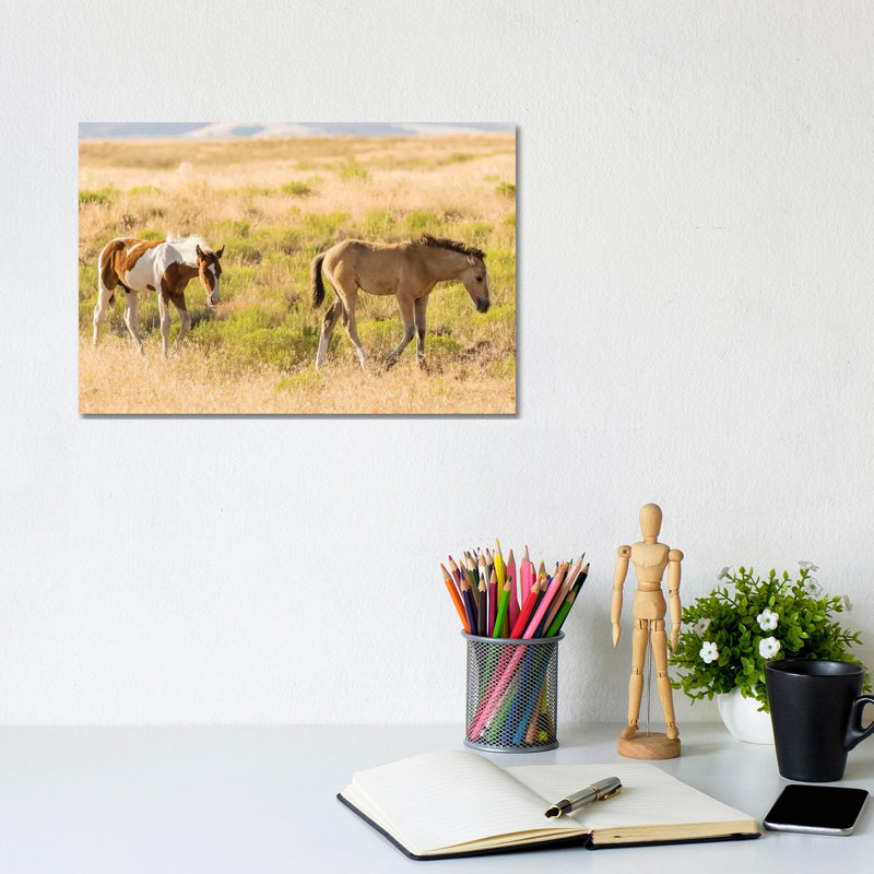 USA, Utah, Tooele County. Wild Horse Foals Walking. by Jaynes Gallery - Wrapped Canvas Print, 20.32cm H x 30.48cm W