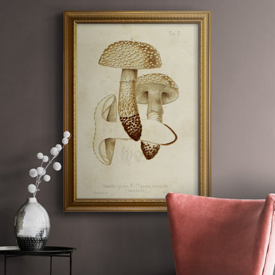 Toile encadrée de qualité supérieure Mushroom Variétés
