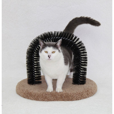 Poteau à gratter brosse aurons certainement idéal Hamish