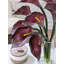 Arrangement de lys Calla violet prune