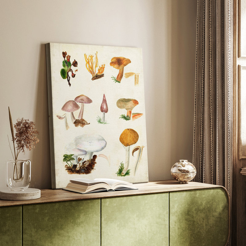 Mushroom Species VI - Gallery Cavas, H 48 po x l 32 po