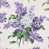 Mauve sélectionné