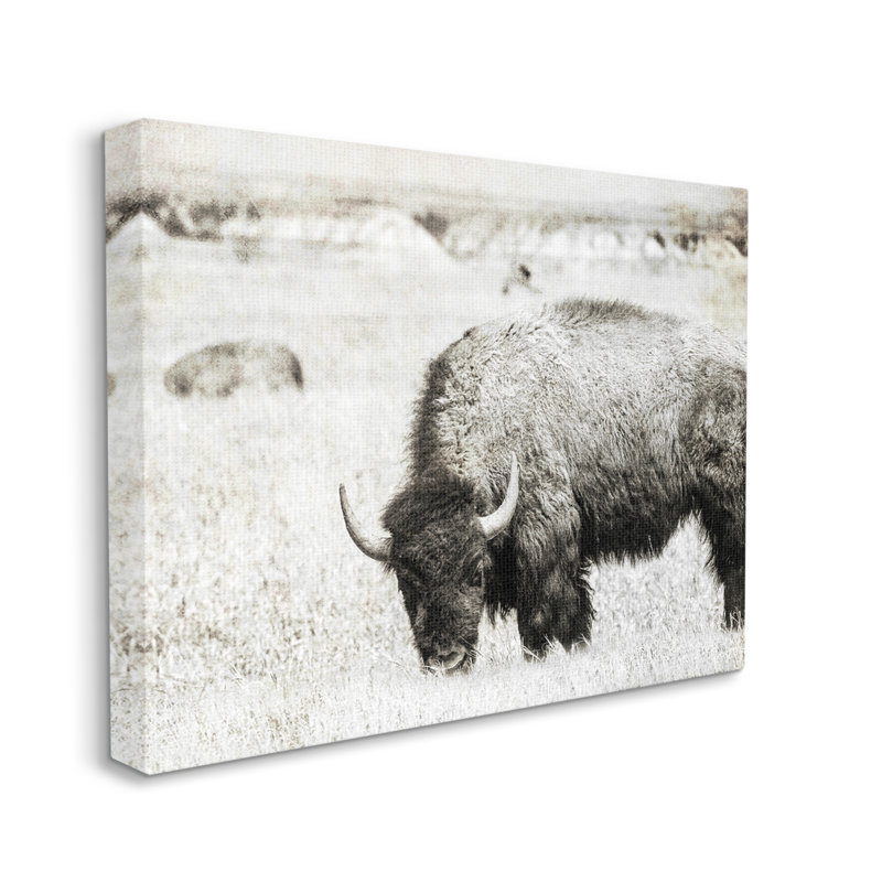 «Bullland Country Farming Country» par Daniel Sproul, L 20 po x H 16 po, Toile tendue