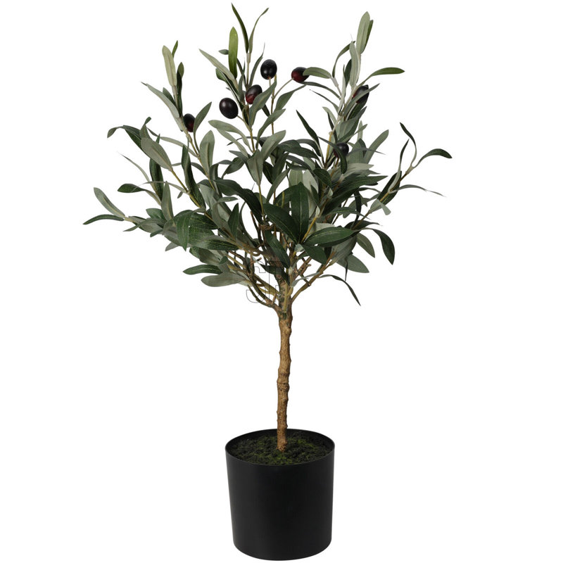 Anssi Pot Planter