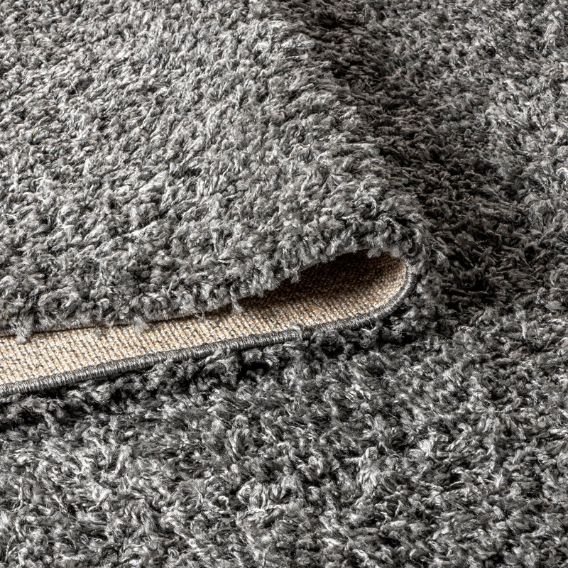 Felicdad Shag Plush Charcoal Rug, Rectangle 7'9" x 10'