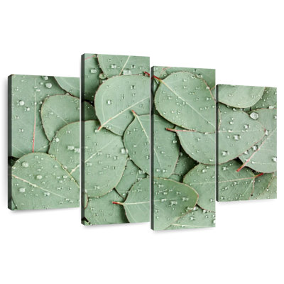 Poils de feuilles d'eucalyptus Harnek Dewy