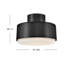 Hinkley Cedric Semi-Flush Mount-552078919