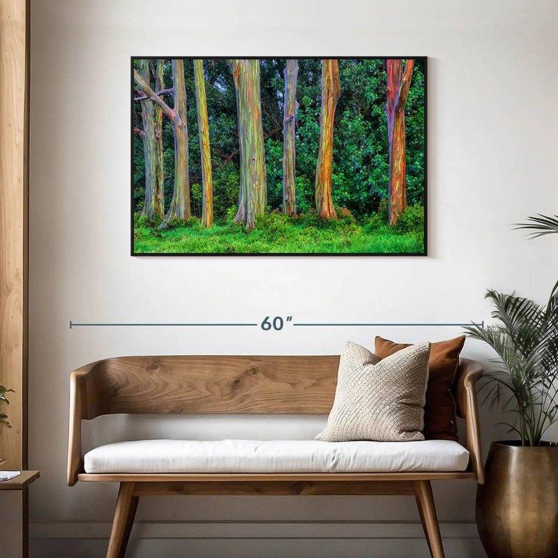 Harnek Eucalyptus Rainbow Trees, 29" H x 43" W