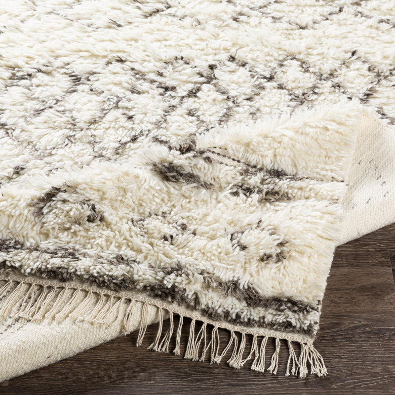 Mayra Wool Southwestern Indoor Rug, Rectangle 2' x 3'