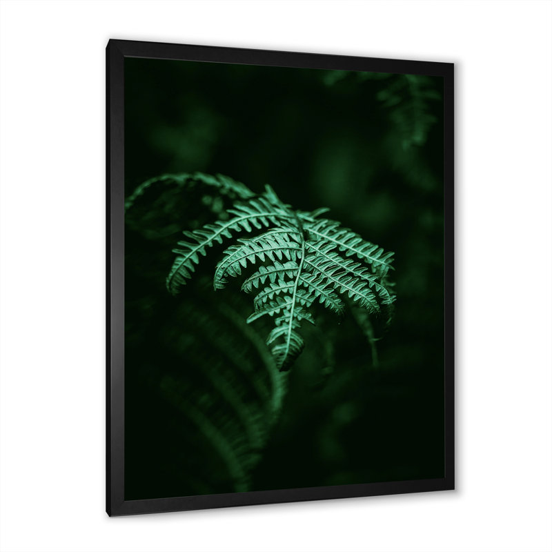 Fougère vert foncé sur fond noir I - reproduction sur toile, H 32 po x l 24 po, Toile avec cadre de coin noir fermé