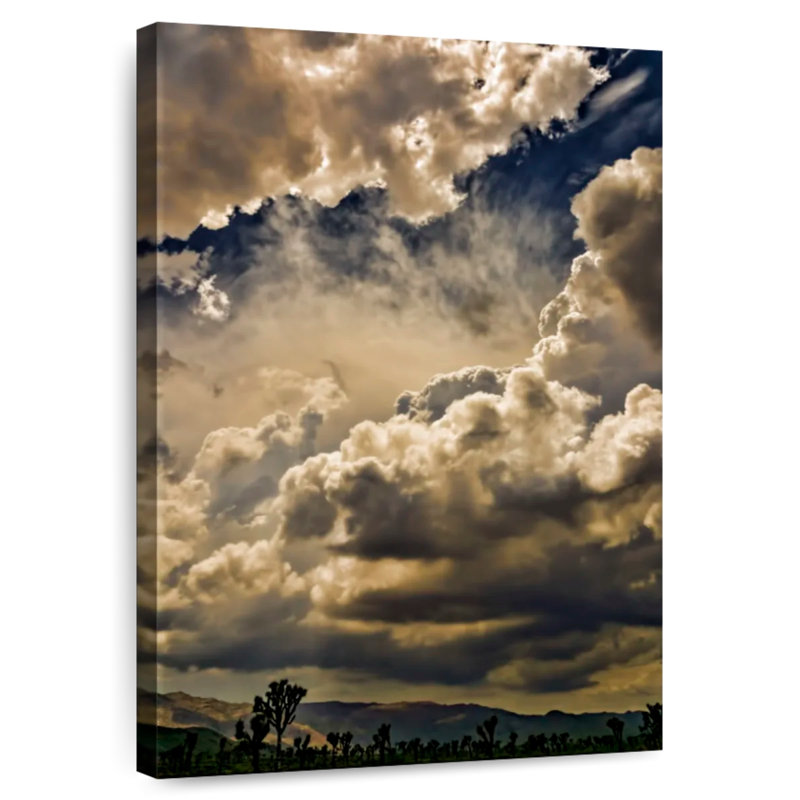 Alvord Joshua Tree Park, ciel du désert, H 12 po x l 8 po