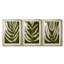 Organic Bloom I - impression encadrée de qualité supérieure sur mesure mat - 3 pièces-1915091941-1915091938