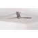 Arbor LED Ceiling Fan