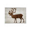 Wood Wildlife III Print by Isabella Burton-26706719-26706720
