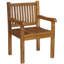 Catriona Outdoor 9 - Piece Teak Dining Set with Cushions