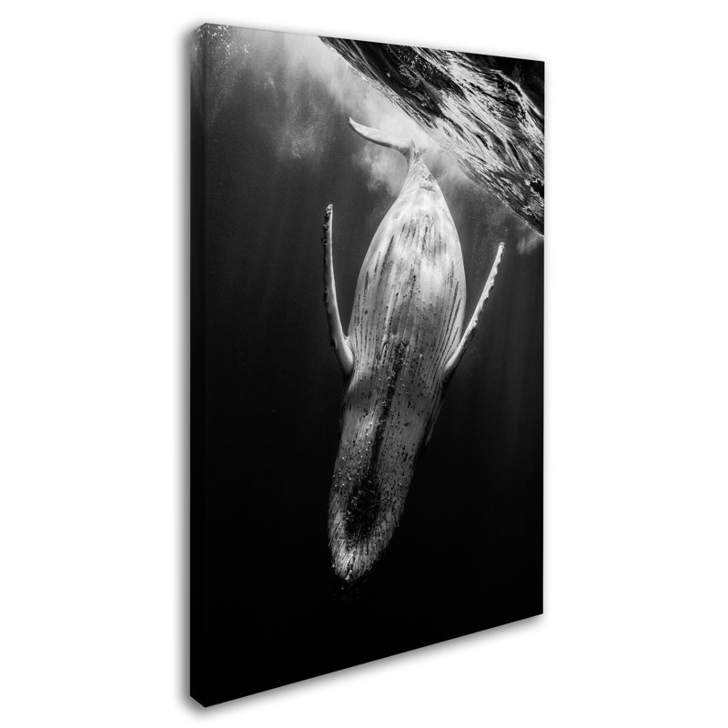 «Black and Whale», reproduction de photo sur toile tendue, H 19 po x l 12 po