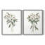 Impression encadrée Mountain Laurel I-Premium - prête à être accrochée - aucun clou requis - aucun clou requis-624468753-624468757