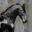 « black stallion », reproduction d’art sur toile-20925103