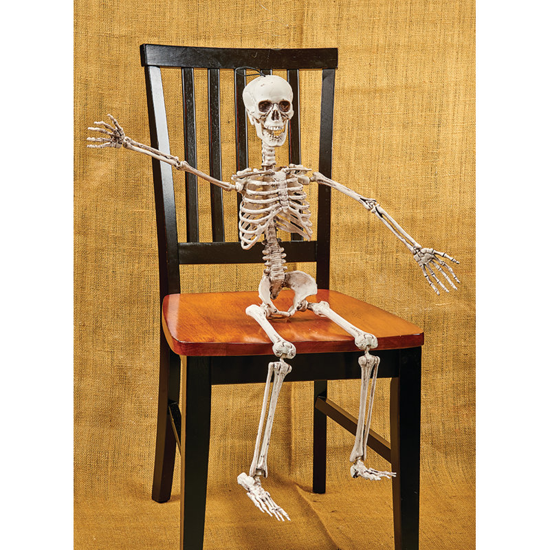 36" Posable Hanging or Sitting Halloween Skeleton