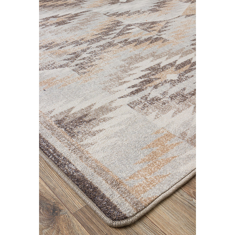 Shameka Southwestern Indoor Rug, Rectangle 3' x 4'
