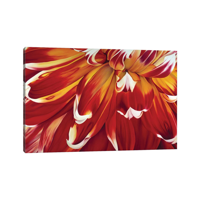 Redony by Yvonne Poelstra-Holzhaus - Wrapped Canvas Painting, 20.32 cm H x 30.48 cm W