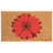 Danelea Floral Outdoor Doormat