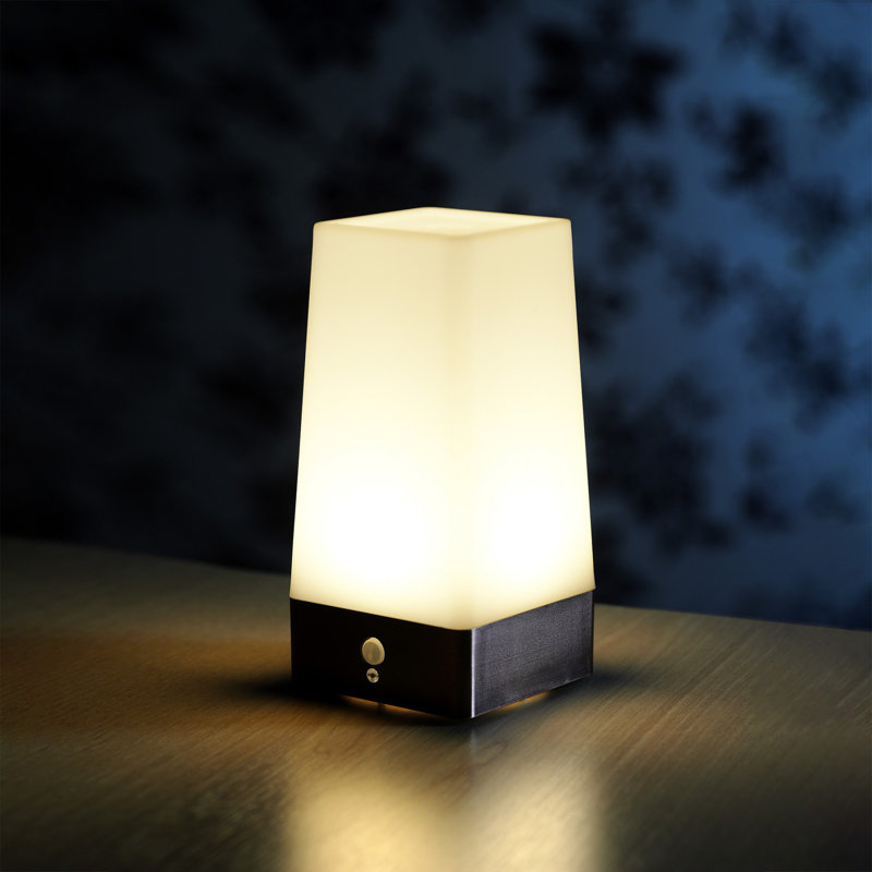 Blase Novelty Lamp