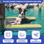 Piscine gonflable