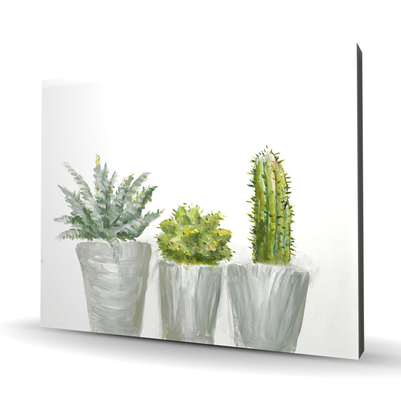 Mini cactus et plantes grasses - Toile botanique pour la décoration intérieure