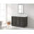 Alfons 60'' Single Bathroom Vanity with Quartz Top-103613229