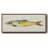 Fanciful Fish I- Framed Canvas