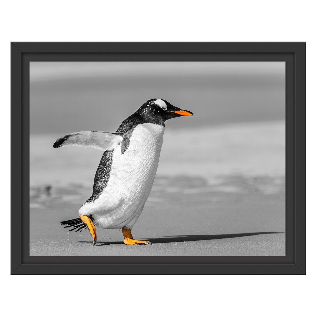 Gerahmtes Wandbild watschelnder Pinguin am Strand