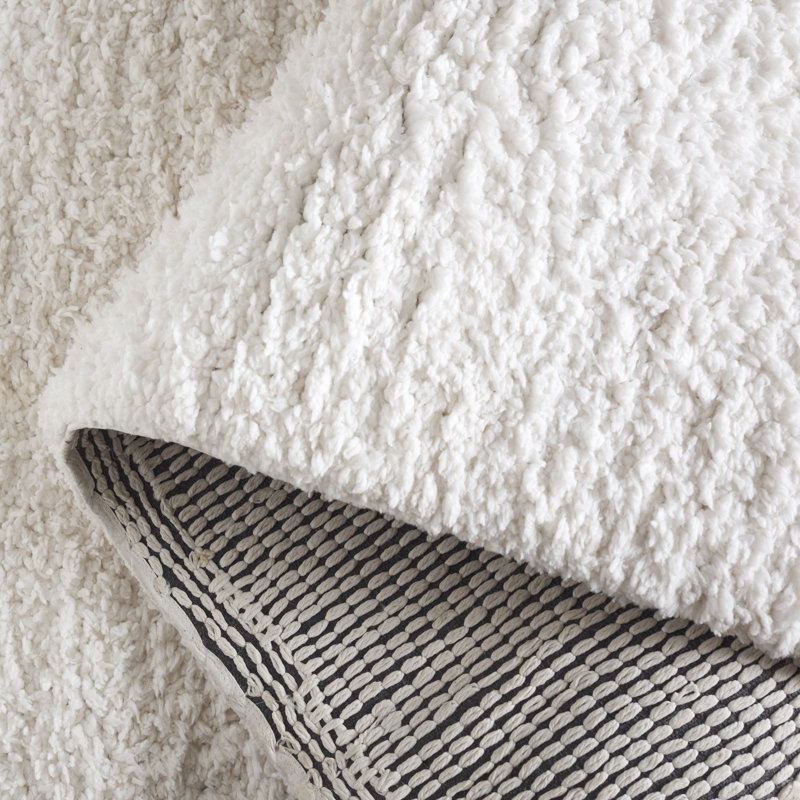 Tapis à poils longs tissé à la main Detweiler, Rectangle 6 pi x 9 pi