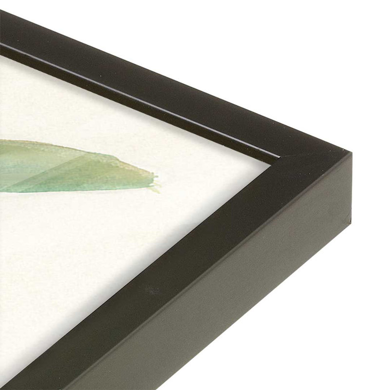 «Snowdrop Stems II» par June Erica Vess, reproduction d'art sur toile, H 24 po x l 18 po, Noir